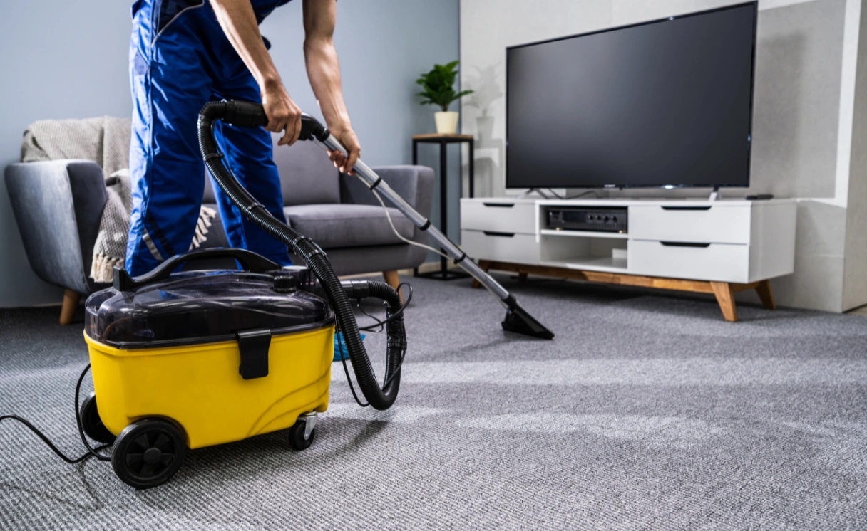 Extract Curtain Cleaning Huntingdale Contact Office